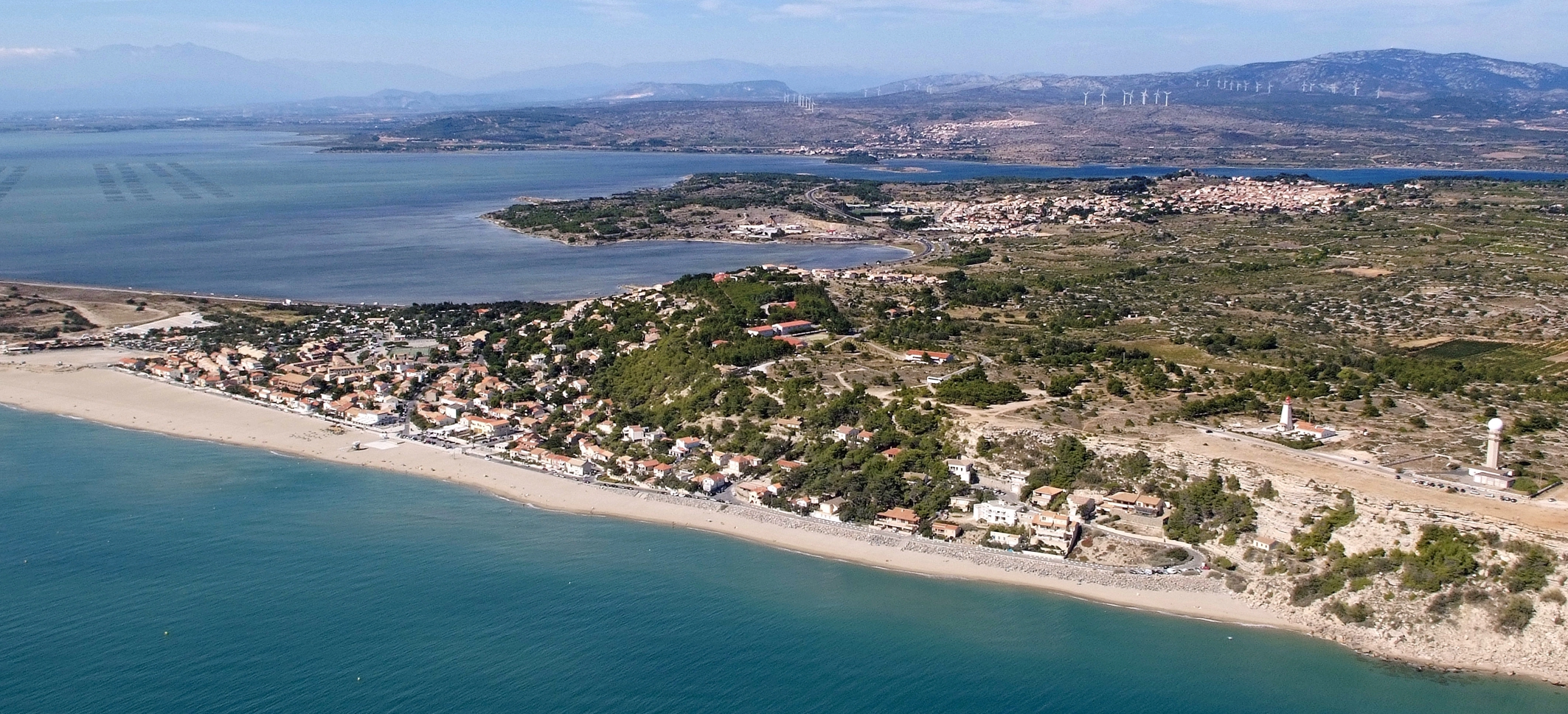 L'association de Protection de la Plage et de la Falaise de Leucate - APPFL